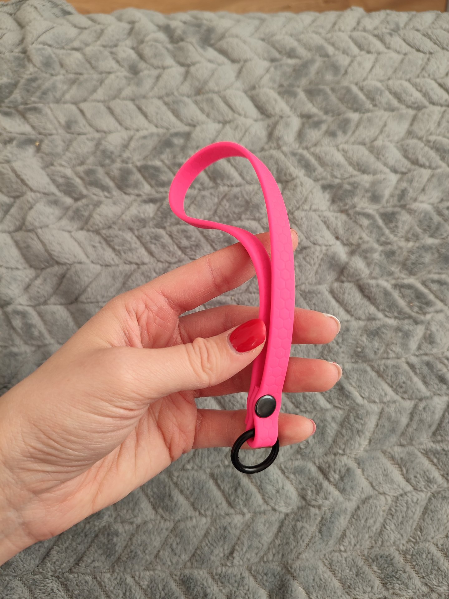 Obroża i smycz jako ważny element wyprawki